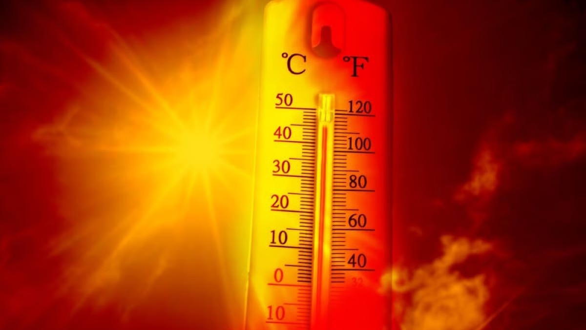 Heat wave warning in South Bengal districts throughout the week