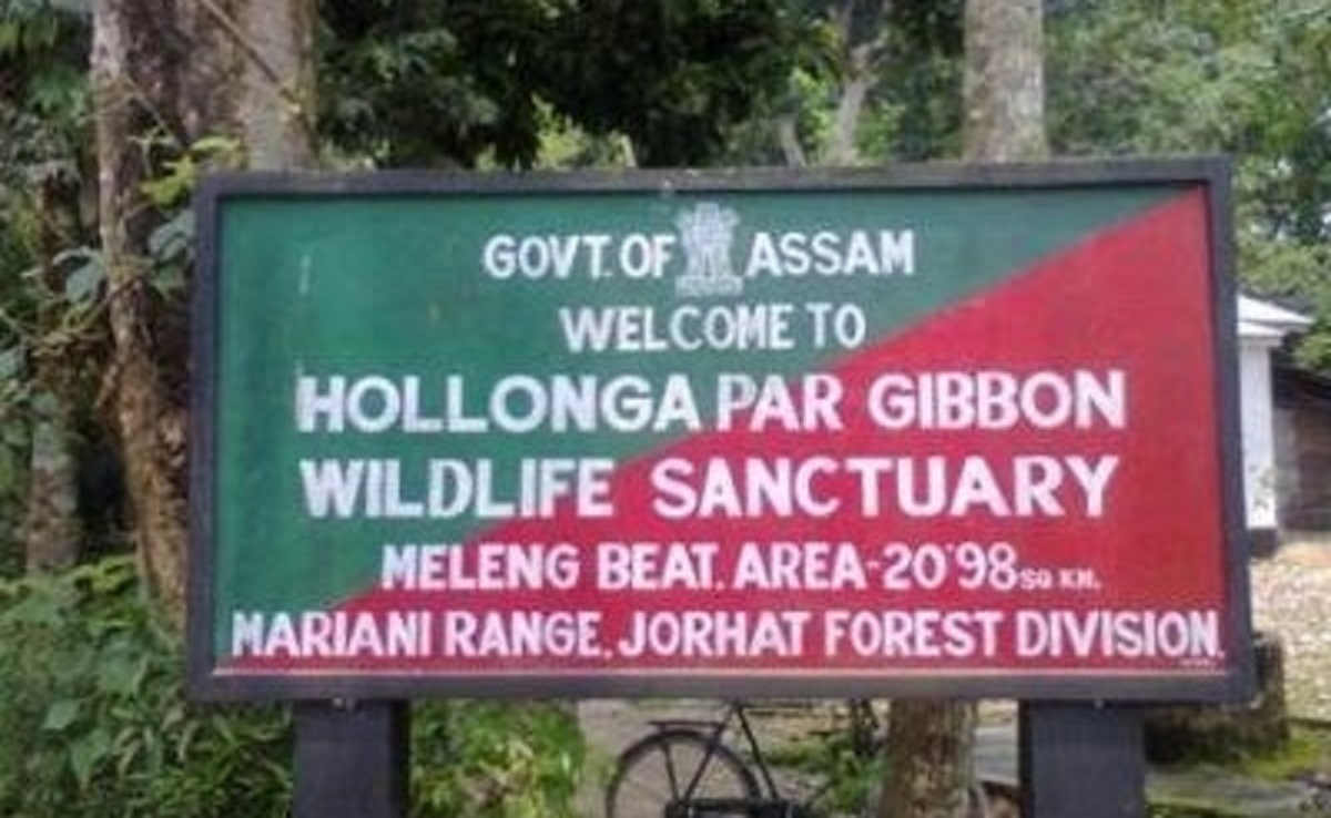 Gaurav Gogoi urges Union Minister to safeguard Assam’s Hollongapar Gibbon Sanctuary