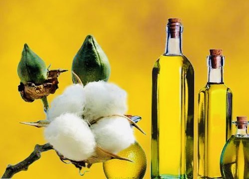 Cottonseed oil cake futures prices inflation on demand