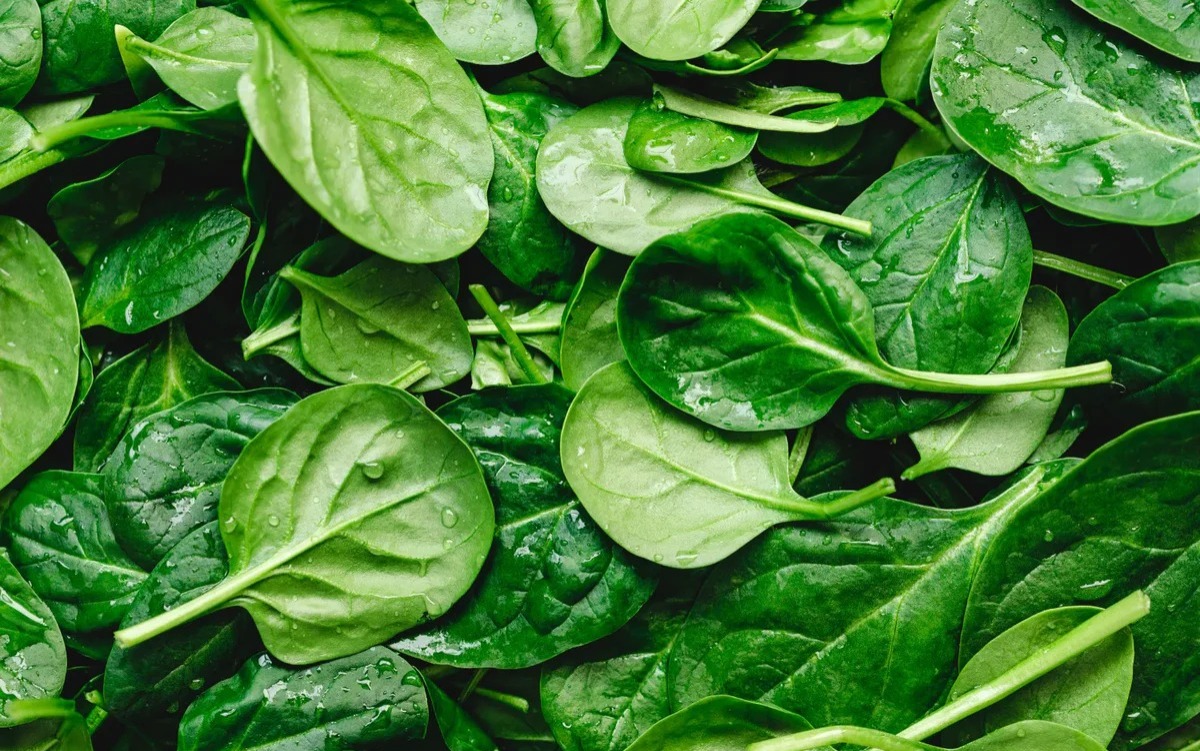From bones to brain: Amazing benefits of eating spinach